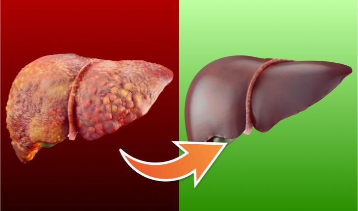 Dipartimento Europeo della Salute
